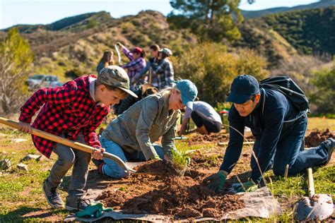 15 organizations to plant trees with .